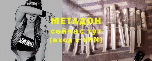 стаф Тайга