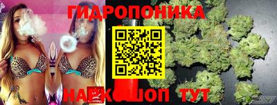 дмт Балаково