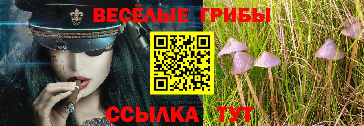 Кириши  Вход с VPN  Кетыч  МЕФ  Марихуана  Ляпка 