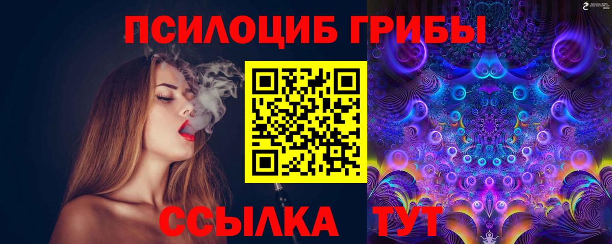 Галлюциногенные грибы Psilocybine cubensis  Вход с VPN  цены наркотик  Кириши 