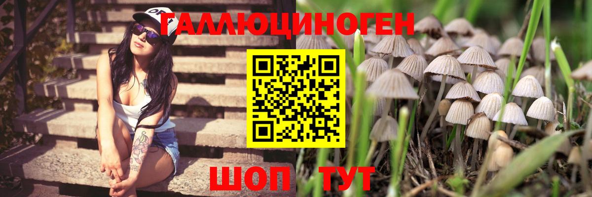 МДМА  Вход с VPN  Кириши  Кетамин  КОКАИН  Меф кристаллы  Гашиш  Бошки Шишки  Cocaine  ГАШИШ 